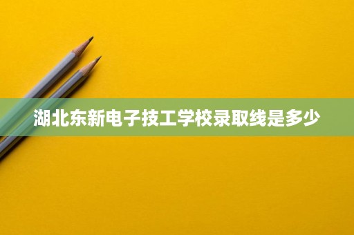 湖北东新电子技工学校录取线是多少