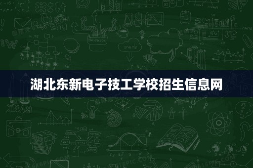 湖北东新电子技工学校招生信息网