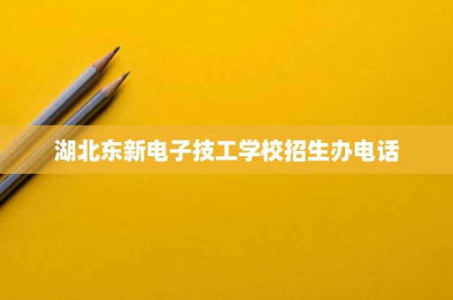 湖北东新电子技工学校招生办电话