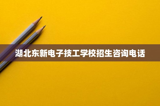 湖北东新电子技工学校招生咨询电话