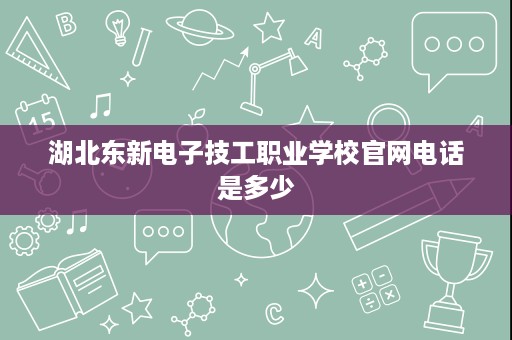 湖北东新电子技工职业学校官网电话是多少