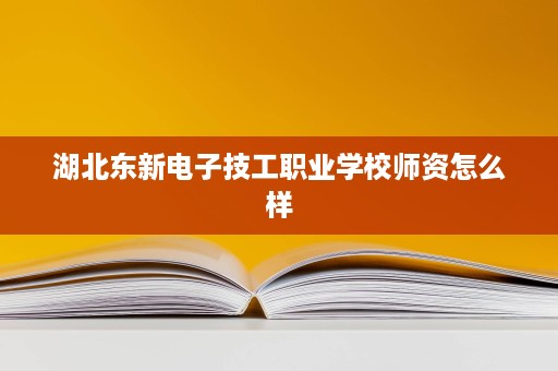 湖北东新电子技工职业学校师资怎么样