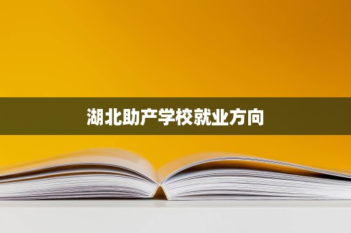 湖北助产学校就业方向