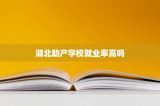 湖北助产学校就业率高吗