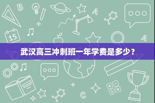 武汉高三冲刺班一年学费是多少？