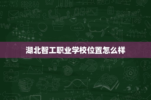 湖北智工职业学校位置怎么样
