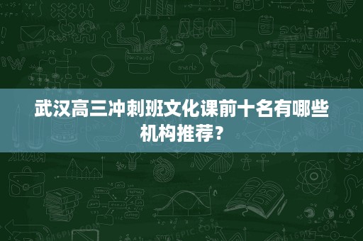 武汉高三冲刺班文化课前十名有哪些机构推荐？