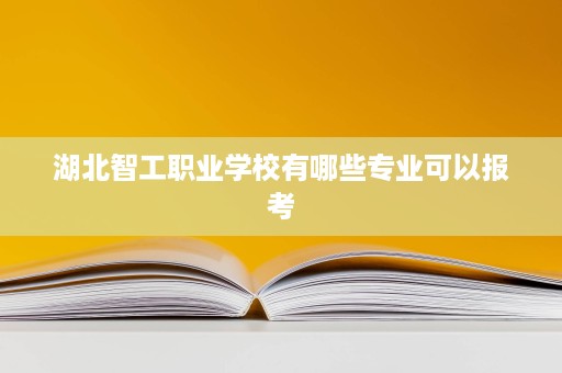 湖北智工职业学校有哪些专业可以报考