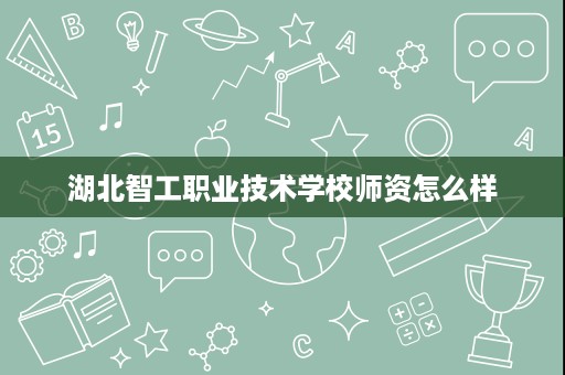 湖北智工职业技术学校师资怎么样