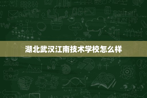 湖北武汉江南技术学校怎么样
