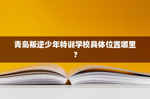 青岛叛逆少年特训学校具体位置哪里？