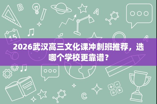 2026武汉高三文化课冲刺班推荐，选哪个学校更靠谱？