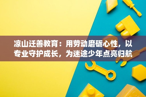 凉山迁善教育：用劳动磨砺心性，以专业守护成长，为迷途少年点亮归航灯