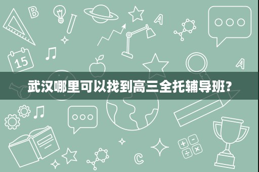 武汉哪里可以找到高三全托辅导班？