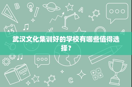 武汉文化集训好的学校有哪些值得选择? 武汉文化集训好的学校有哪些值得选择?