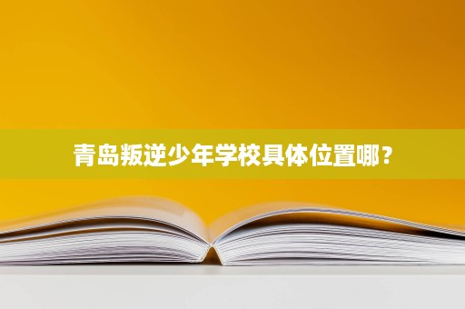 青岛叛逆少年学校具体位置哪? 青岛叛逆少年学校具体位置哪?