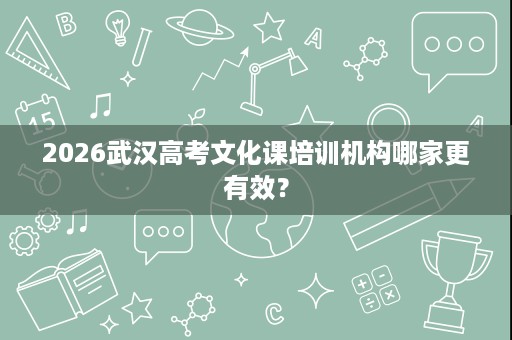 2026武汉高考文化课培训机构哪家更有效？