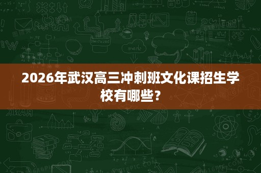 2026年武汉高三冲刺班文化课招生学校有哪些? 2026年武汉高三冲刺班文化课招生学校有哪些?