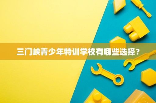 三门峡青少年特训学校有哪些选择？