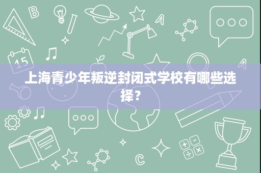 上海青少年叛逆封闭式学校有哪些选择？