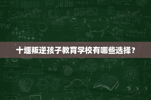 十堰叛逆孩子教育学校有哪些选择? 十堰叛逆孩子教育学校有哪些选择?