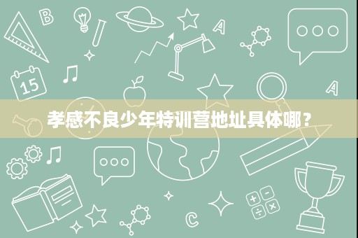孝感不良少年特训营地址具体哪? 孝感不良少年特训营地址具体哪?