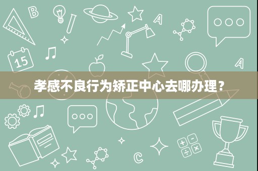 孝感不良行为矫正中心去哪办理? 孝感不良行为矫正中心去哪办理?