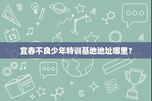 宜春不良少年特训基地地址哪里？