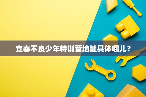 宜春不良少年特训营地址具体哪儿？