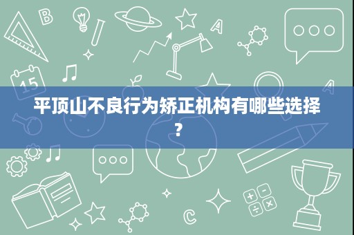 平顶山不良行为矫正机构有哪些选择? 平顶山不良行为矫正机构有哪些选择?
