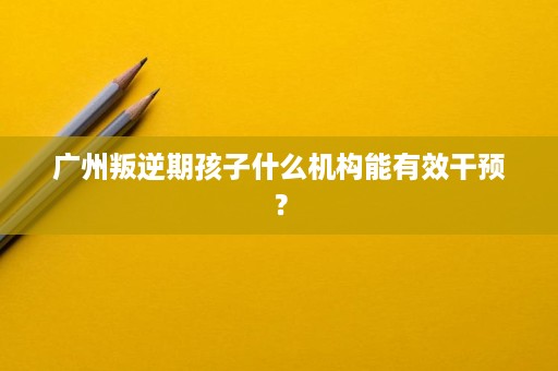 广州叛逆期孩子什么机构能有效干预? 广州叛逆期孩子什么机构能有效干预?