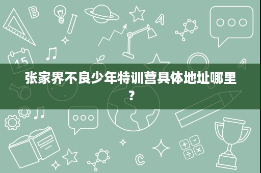 张家界不良少年特训营具体地址哪里? 张家界不良少年特训营具体地址哪里?
