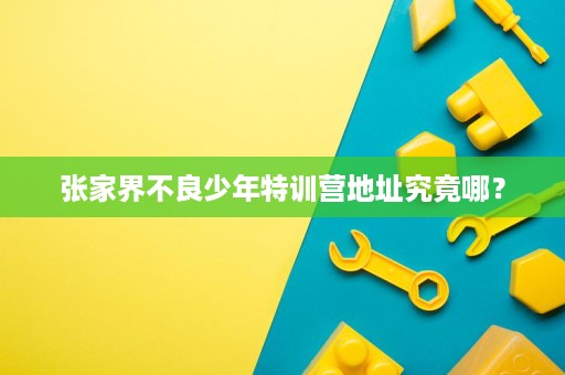 张家界不良少年特训营地址究竟哪？