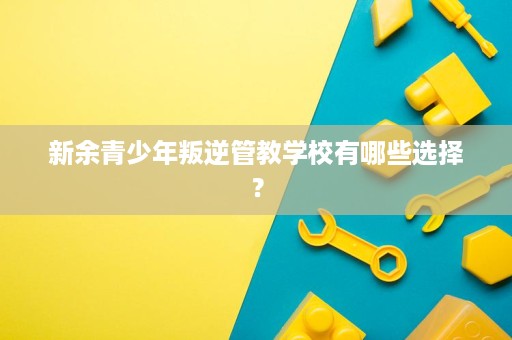 新余青少年叛逆管教学校有哪些选择？