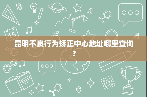 昆明不良行为矫正中心地址哪里查询? 昆明不良行为矫正中心地址哪里查询?