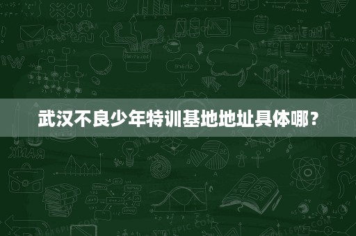 武汉不良少年特训基地地址具体哪？