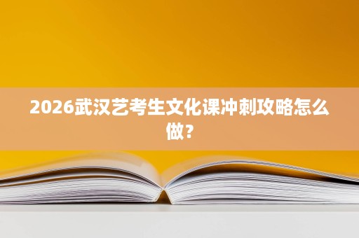 2026武汉艺考生文化课冲刺攻略怎么做? 2026武汉艺考生文化课冲刺攻略怎么做?