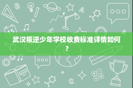 武汉叛逆少年学校收费标准详情如何? 武汉叛逆少年学校收费标准详情如何?