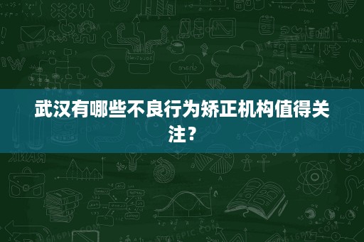 武汉有哪些不良行为矫正机构值得关注？
