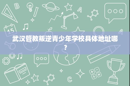 武汉管教叛逆青少年学校具体地址哪？