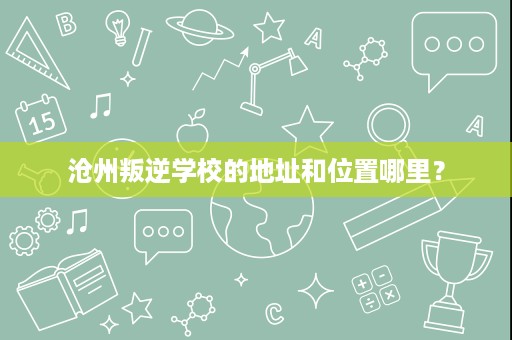 沧州叛逆学校的地址和位置哪里？