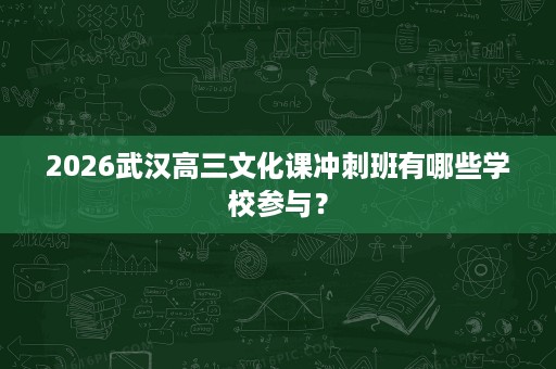 2026武汉高三文化课冲刺班有哪些学校参与? 2026武汉高三文化课冲刺班有哪些学校参与?
