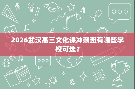 2026武汉高三文化课冲刺班有哪些学校可选？