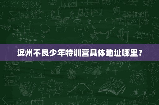 滨州不良少年特训营具体地址哪里? 滨州不良少年特训营具体地址哪里?