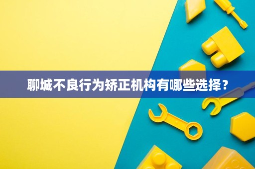 聊城不良行为矫正机构有哪些选择? 聊城不良行为矫正机构有哪些选择?