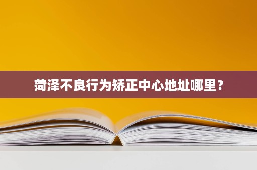 菏泽不良行为矫正中心地址哪里? 菏泽不良行为矫正中心地址哪里?