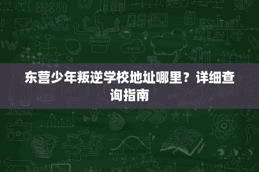 东营少年叛逆学校地址哪里?详细查询指南 东营少年叛逆学校地址哪里?详细查询指南