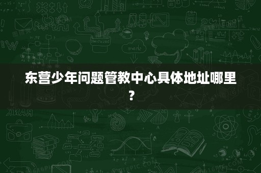 东营少年问题管教中心具体地址哪里? 东营少年问题管教中心具体地址哪里?