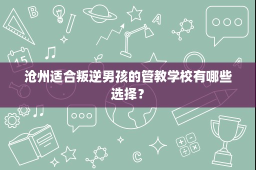 沧州适合叛逆男孩的管教学校有哪些选择? 沧州适合叛逆男孩的管教学校有哪些选择?