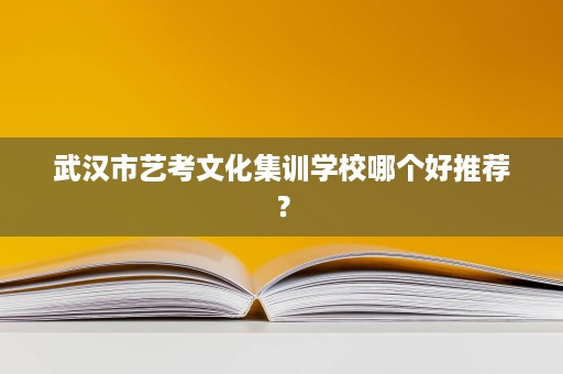 武汉市艺考文化集训学校哪个好推荐? 武汉市艺考文化集训学校哪个好推荐?